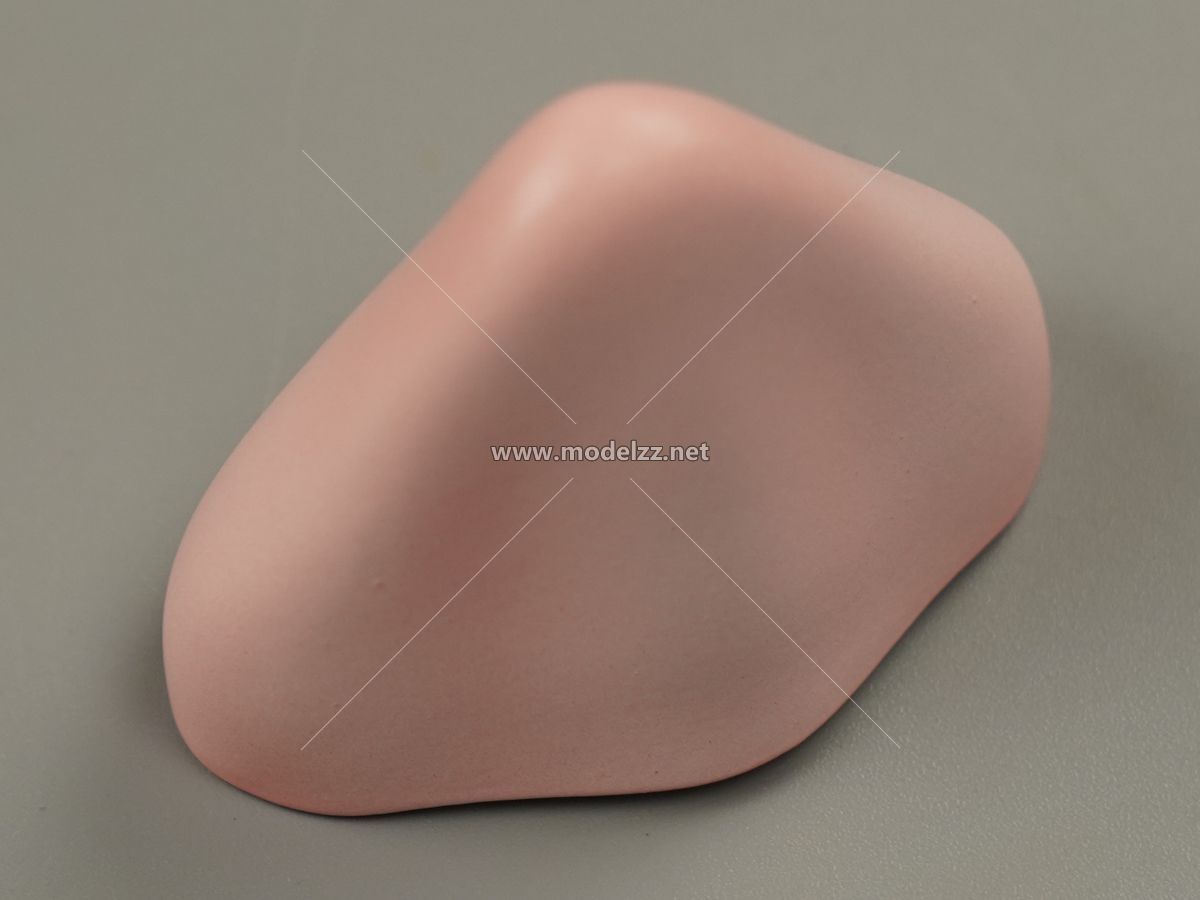 Chicken Parts Simulation Food Model