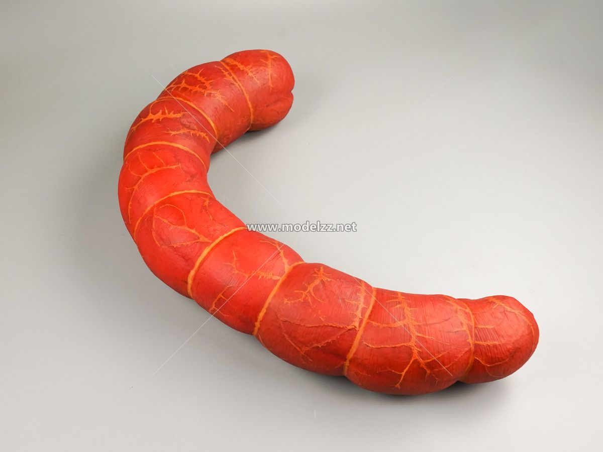 Sausage Plastic Food Models