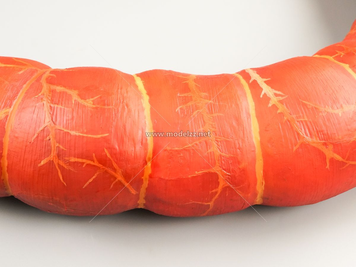 Sausage Plastic Food Models