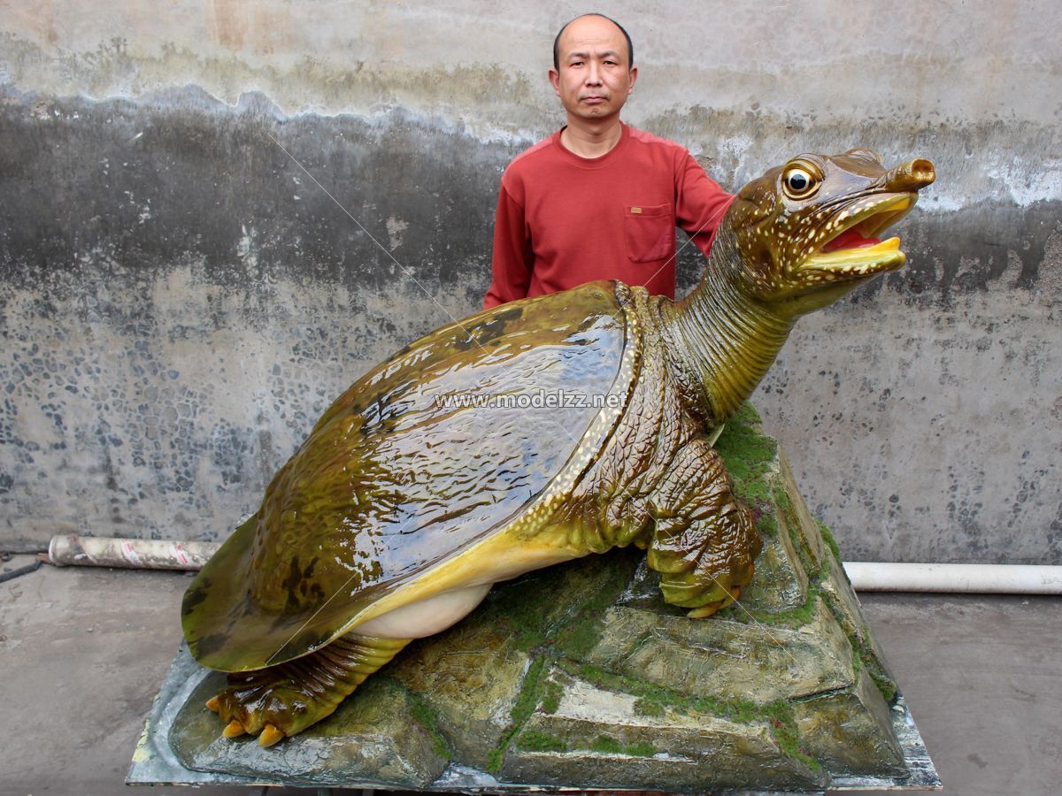 Turtle Animal Sculpture FRP Animal Sculpture