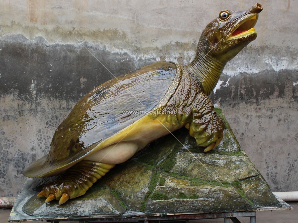 Turtle Animal Sculpture FRP Animal Sculpture