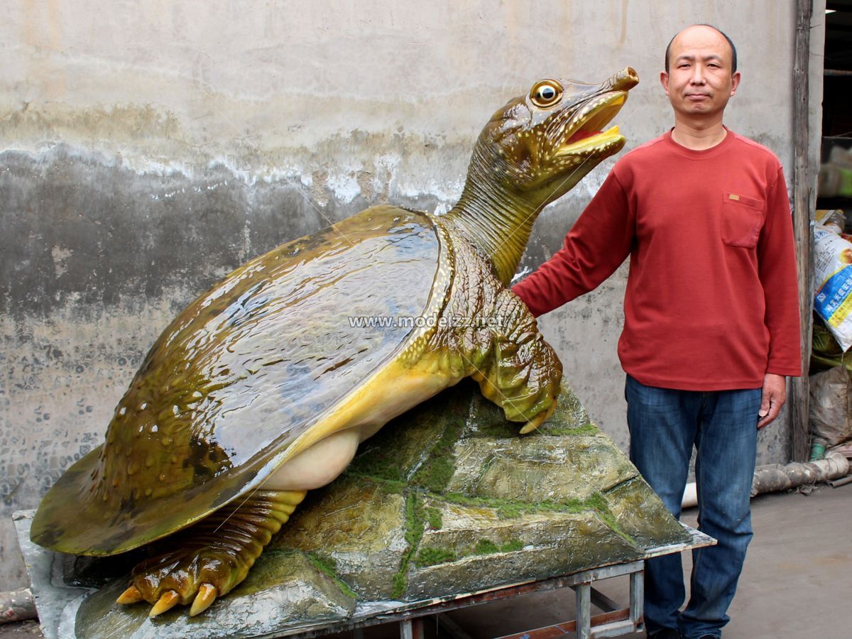 Turtle Animal Sculpture FRP Animal Sculpture