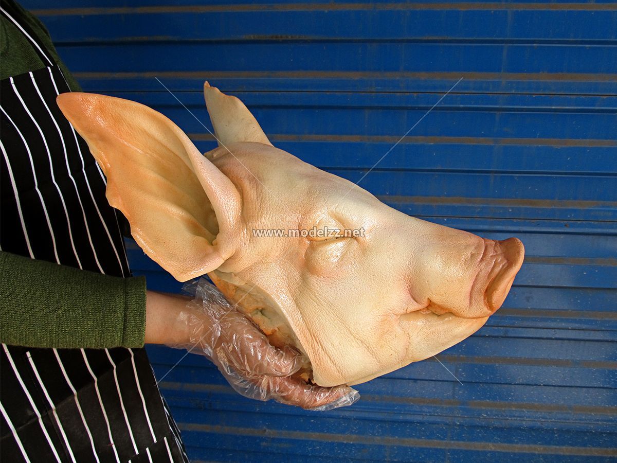 Giant Pig Head Imitation Animal Resin Art