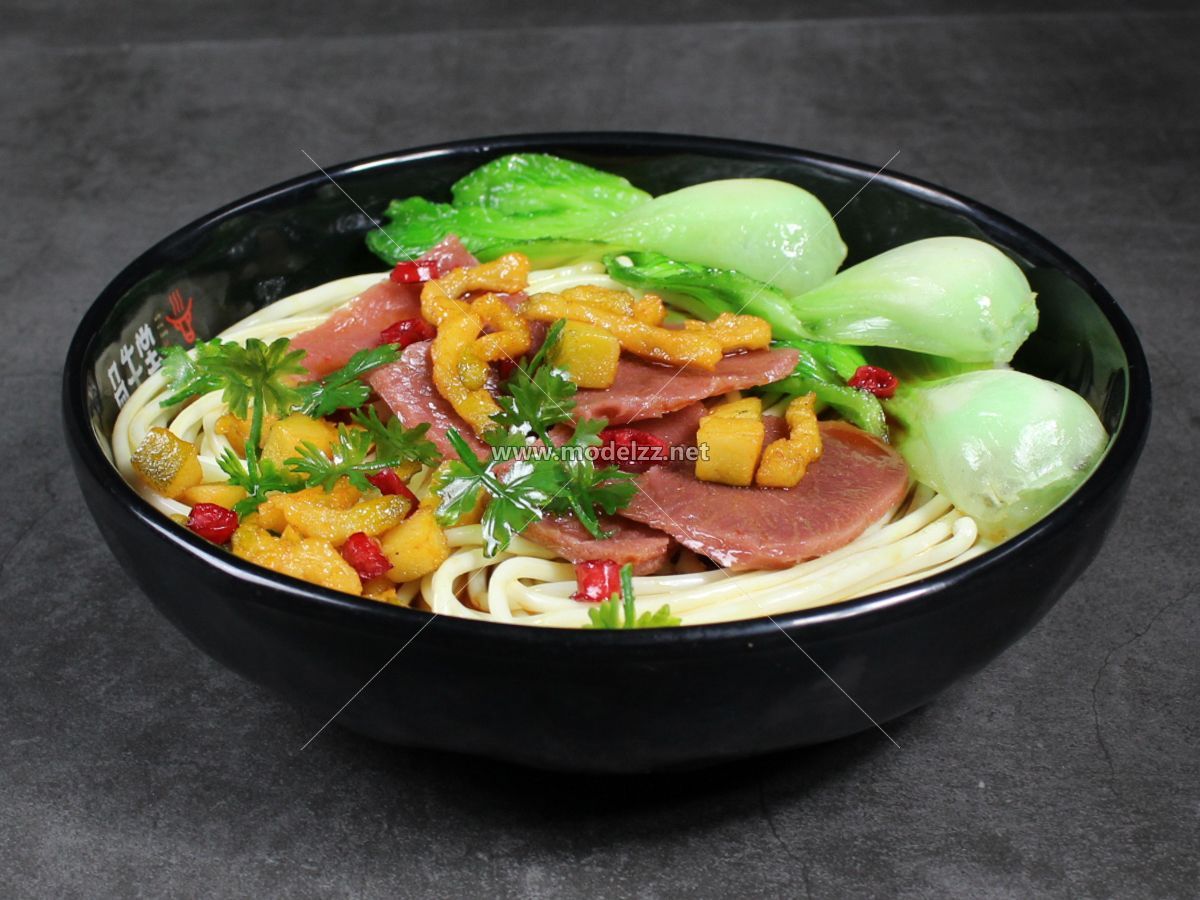 Beef Noodles Plastic Food Models