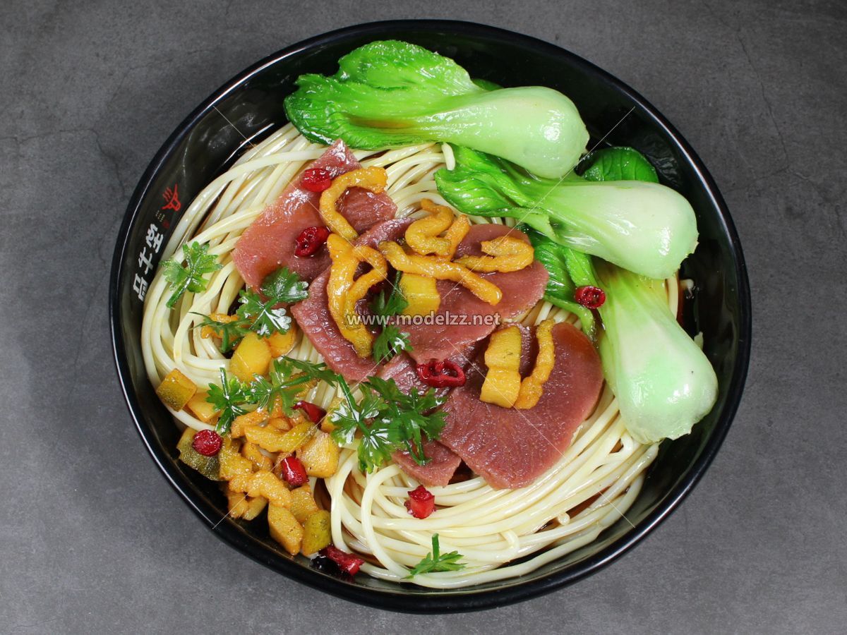 Beef Noodles Plastic Food Models