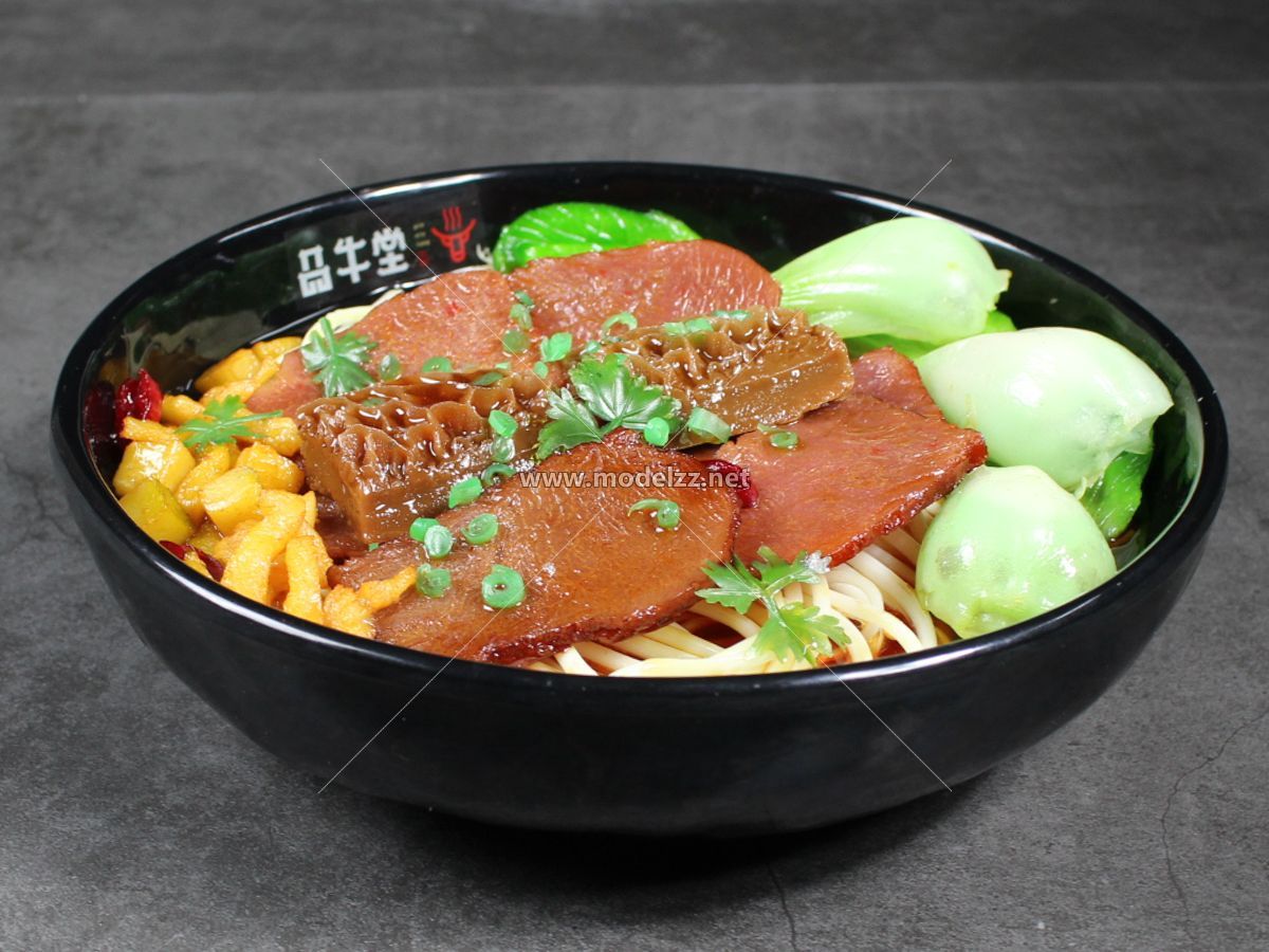 Beef Noodles Plastic Food Models