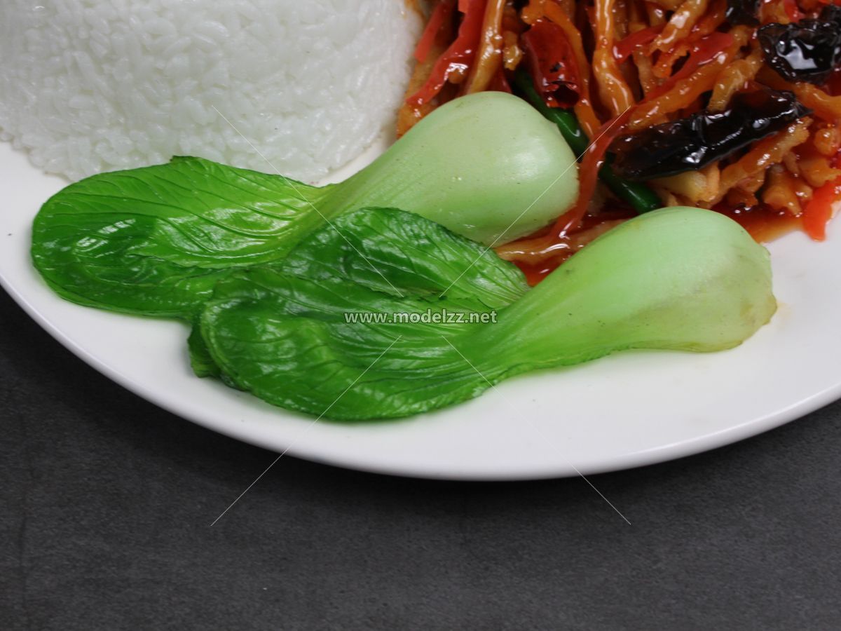 Fish Flavored Pork Slices Plastic Food Models