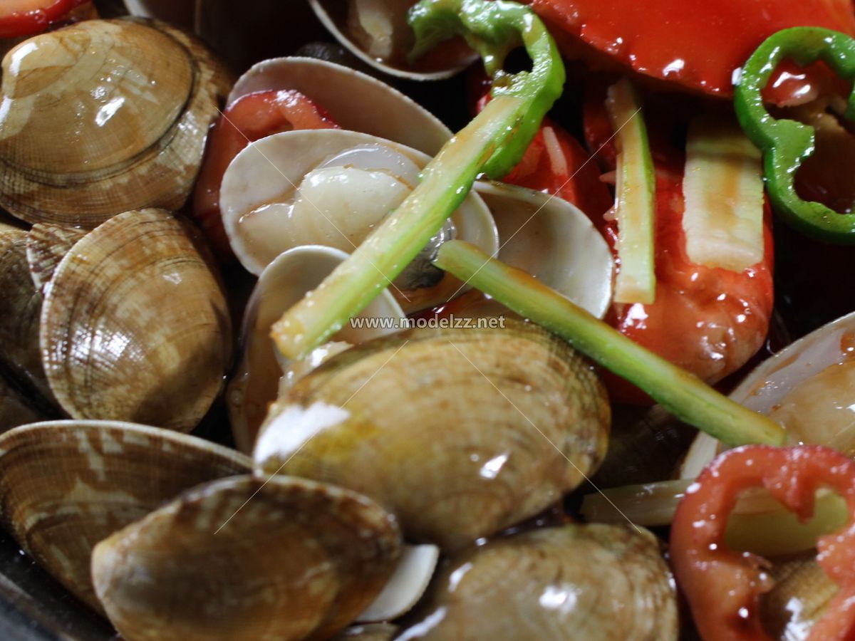 Seafood Model Plastic Food Models
